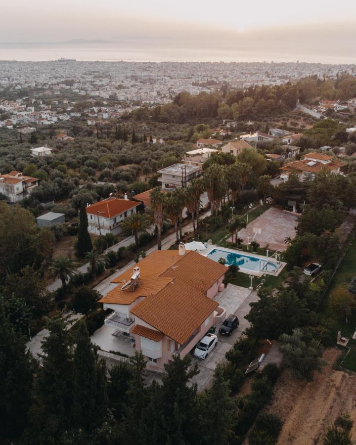 Crystal Villa باترا المظهر الخارجي الصورة
