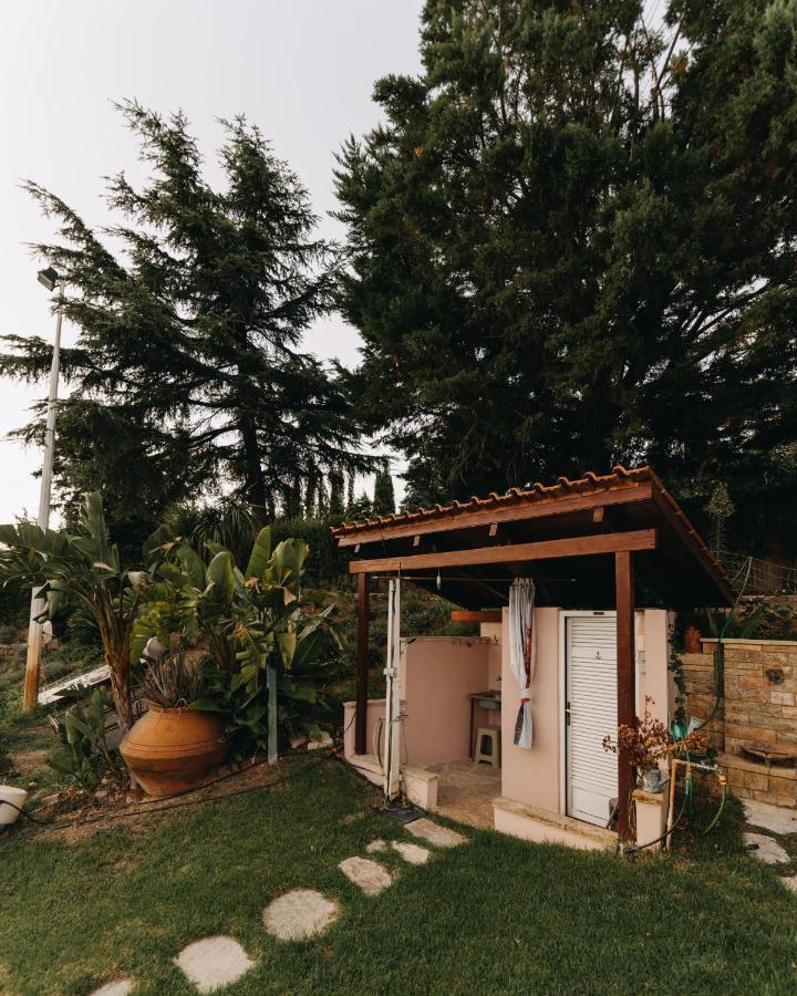 Crystal Villa باترا المظهر الخارجي الصورة